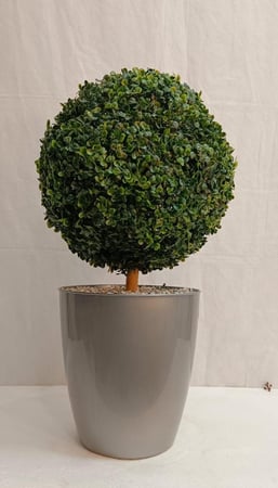 شجرة كورة مع قاعدة بلاستيك الارتفاع  60 سم العرض 30 سم