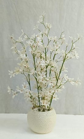 شجرة ورد مع مركن اصيص ارتفاع 65 سم العرض 20 سم