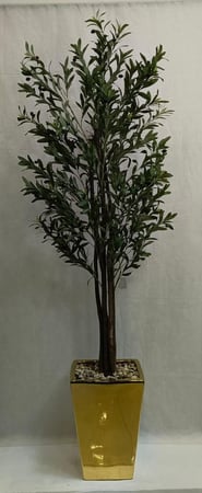 شجرة زيتون مع مركن سيراميك الارتفاع 190 سم العرض 50 سم