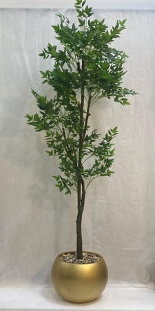 مركن اصيص ورق سنديان الارتفاع 200 سم العرض 60 سم