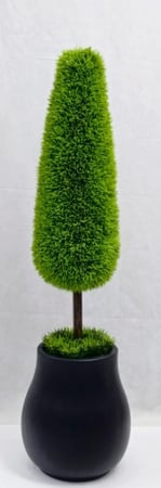 شجرة ثيل مع مركن اصيص الارتفاع 105 سم العرض 20 سم