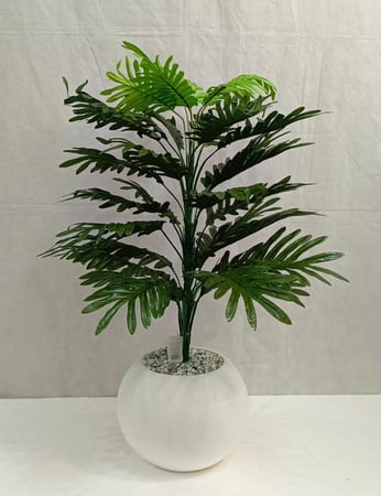 شجرة نخلة مع مركن اصيص الارتفاع 80 سم العرض 40 سم