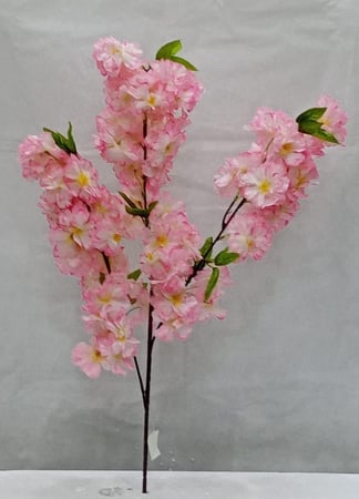 ورد ربيع ابيض خام الارتفاع 100 سم العرض 30  سم