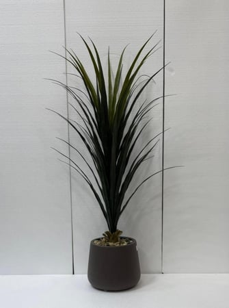 شجرة العنكبوت مع حوض بلاستيك ارتفاع 120 سم العرض 70 سم