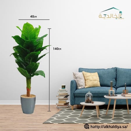 شجرة موز مع قاعدة بلاستيك الطول 140 سم العرض 40 سم