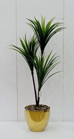 شجرة صبار مع مركن سيراميك ارتفاع 110سم العرض 40سم