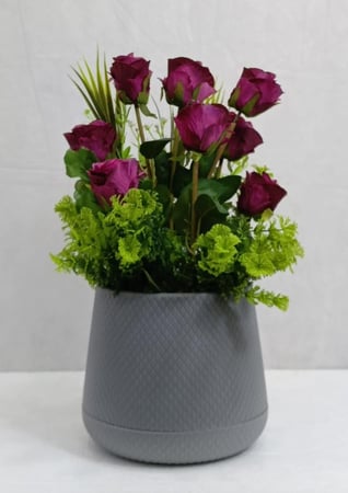 شجرة ورد مع حوض بلاستيك الارتفاع 40 سم العرض 25 سم