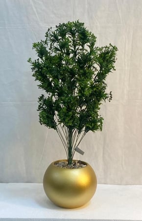 شجرة شتلة مع مركن اصيص ارتفاع 85 سم  العرض 30 سم