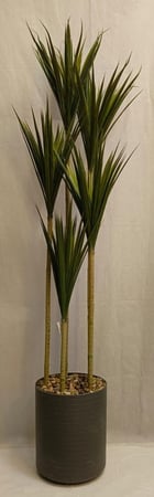 شجرة صبار مع مركن فيبر ارتفاع 210 سم العرض 60 سم