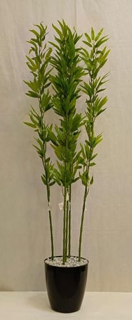 شجرة بامبوا مع قاعدة بلاستيك ارتفاع 140 سم العرض 40 سم