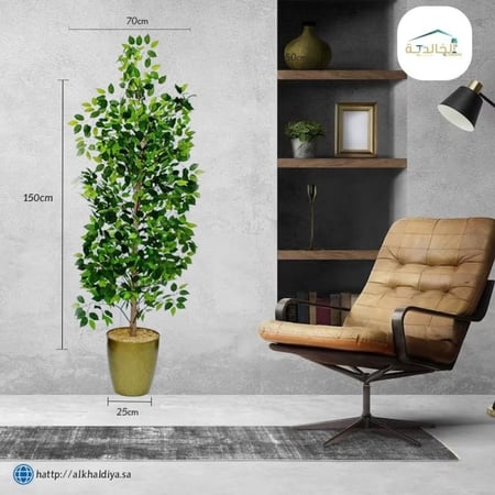 شجرة ليمون مع قاعدة بلاستيك ارتفاع 150سم العرض 40 سم