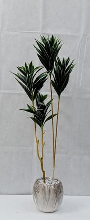 شجرة صبار مع مركن سيراميك ارتفاع 105  سم  العرض 30 سم