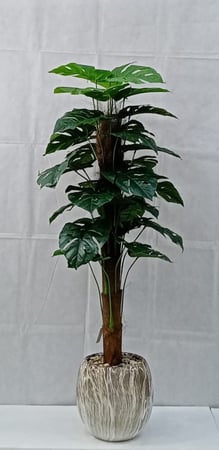 شجرة نجمة قش مع مركن سيراميك ارتفاع 130 سم  العرض 50  سم