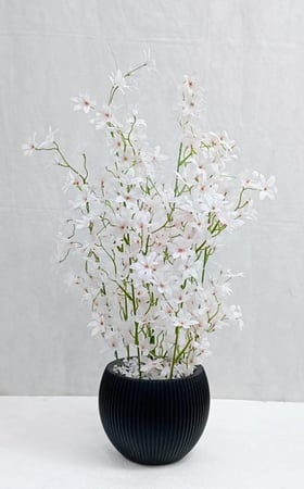 شجرة ورد مع مركن اصيص ارتفاع 65 سم العرض 20 سم