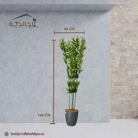 شجرة بامبوا مع قاعدة بلاستيك ارتفاع 140 سم العرض 40 سم