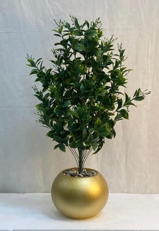 شجرة شتلة مع مركن اصيص ارتفاع 85 سم  العرض 30 سم