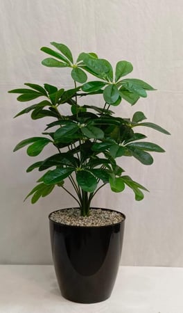 اشجار صناعية زينة ورق نجمة أرتفاع 85 سم