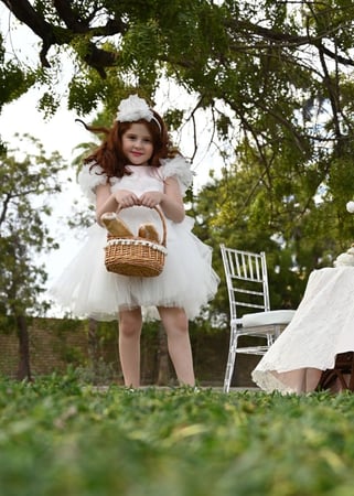 فستان بقصه مميزة من التل مع اضافة الورد بتطريز الفراشات من اللون البنك والاوف وايت