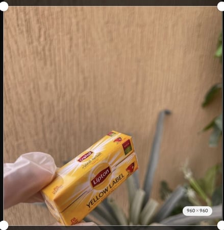 شاهي ليبتون