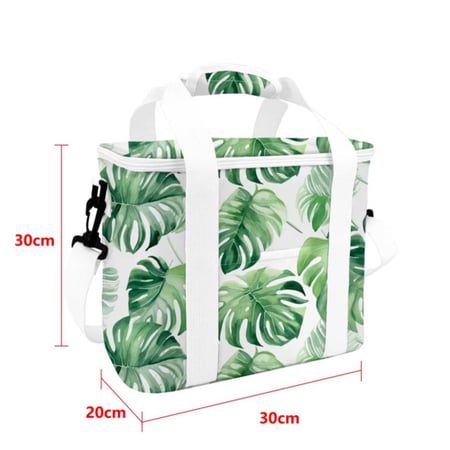 بكج الرحلات