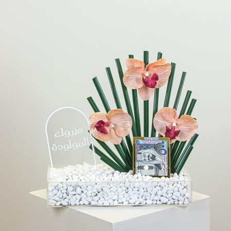 أوركيد نسمات الفرح للمولودة الجديدة هدية مثالية