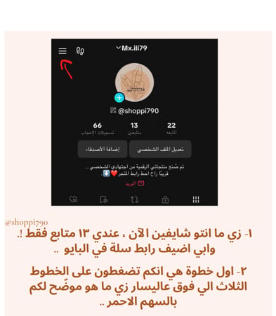 طريقة إضافة رابط متجر سلة في البايو قبل 1000 متابع  شرح خطوة بخطوة