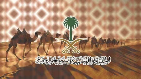صورة للزجاج الامامي والخلفي - اليوم الوطني اللسعودي