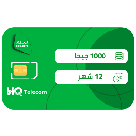 سلام شريحة بيانات 1000 جيجا مسبقة الدفع | سنة
