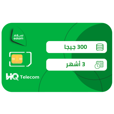 سلام شريحة بيانات 300 جيجا مسبقة الدفع | 3 أشهر