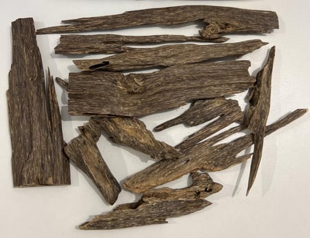 عرض رمضان ٤٧هـ