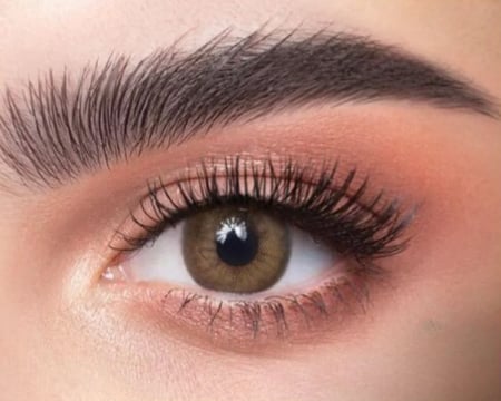 عدسات ذهب يومي كاف رقم 41