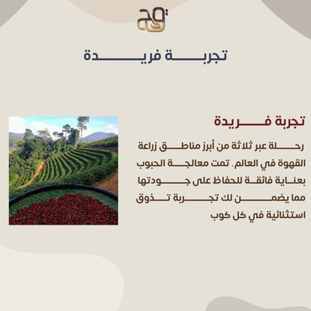 بليند قدح