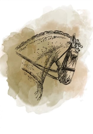 مصنع القهوة - كولومبيا - أروقيت