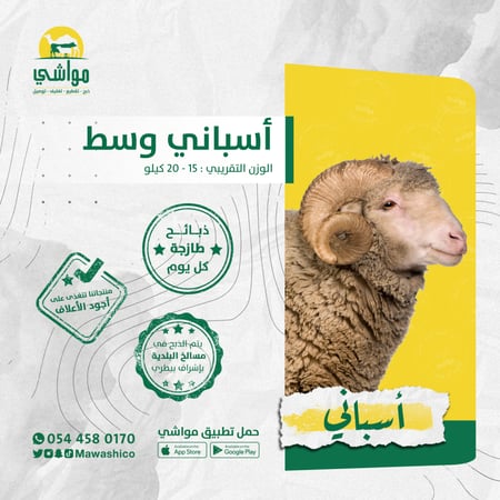 أسباني وسط