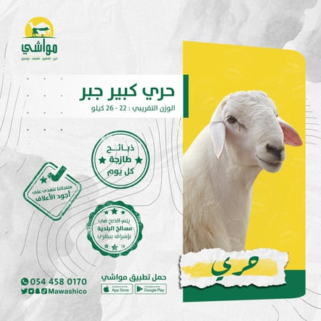 حري كبير جبر