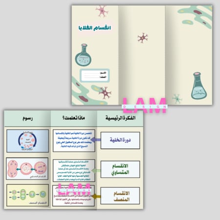 مطويات علوم سادس الترم الأول كامل