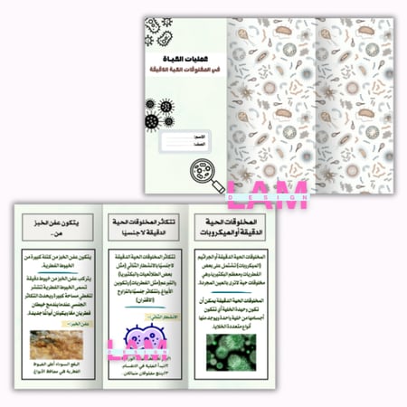 مطويات علوم سادس الترم الأول كامل