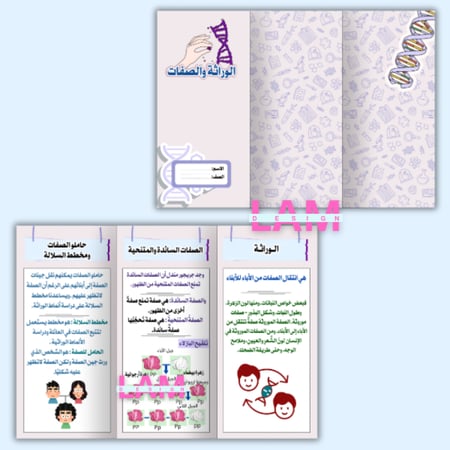 مطويات علوم سادس الترم الأول كامل