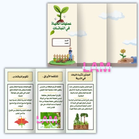 مطويات علوم سادس الترم الأول كامل