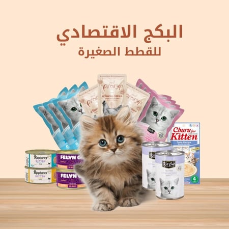 البوكس الاقتصادي للقطط الصغيرة