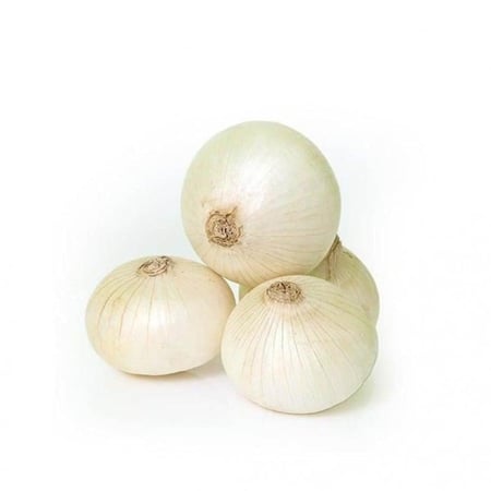 بصل ابيض خيشه