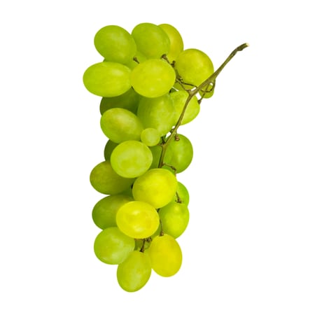 صندوق العائلة فواكة - صغير