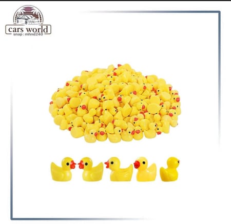 بط صغير 5 حبات