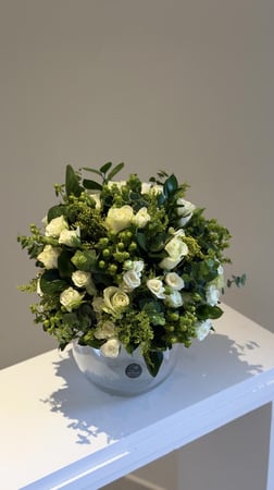 فازا روز وبيبي روز