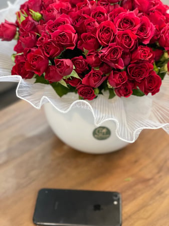 فازا 30 غصن بيبي روز