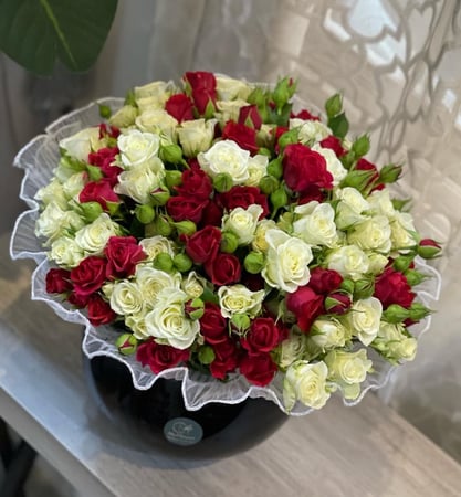 فازا 30 غصن بيبي روز