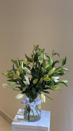 فازا 10 اغصان كازابلانكا