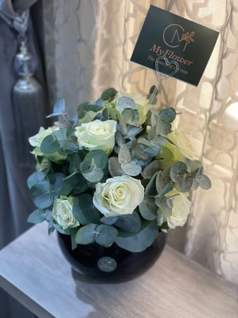 فازا بورد الجوري