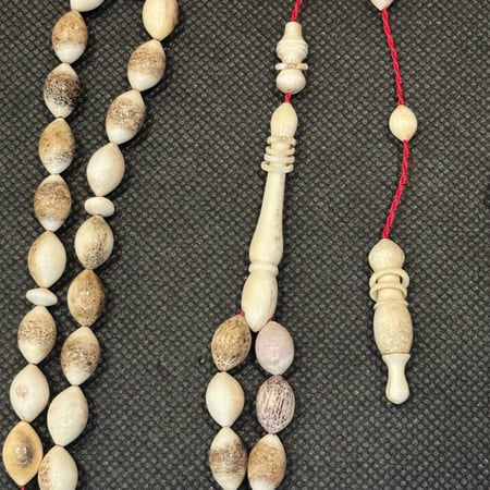 قرن الايل الاوربي قصة زيتونيه حجم ناعم