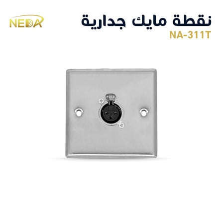 نقطة مايك جدارية